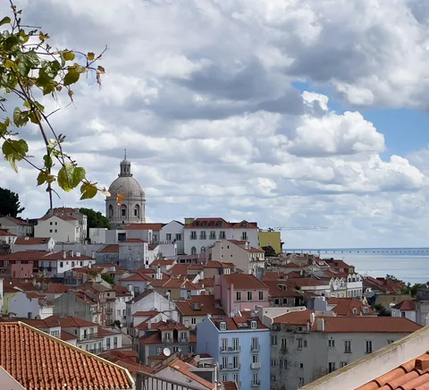 Lisbon roofs and river from Miradouro das Portas do Sol, with foliage and lookout foreground.