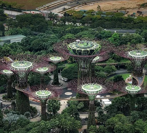 Supertree Grove and surrounding Gardens by the Bay seen from Marina Bay Sands observation platform, 1 November 2024.