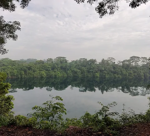 Ketam Quarry, Pulau Ubin: still water surrounded by tropical vegetation in March 2023.